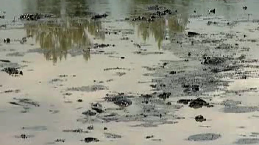 Ostravská ropná laguna
