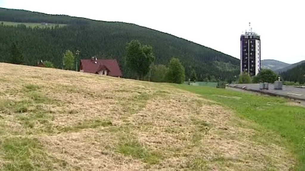 Posekaná louka v Krkonoších