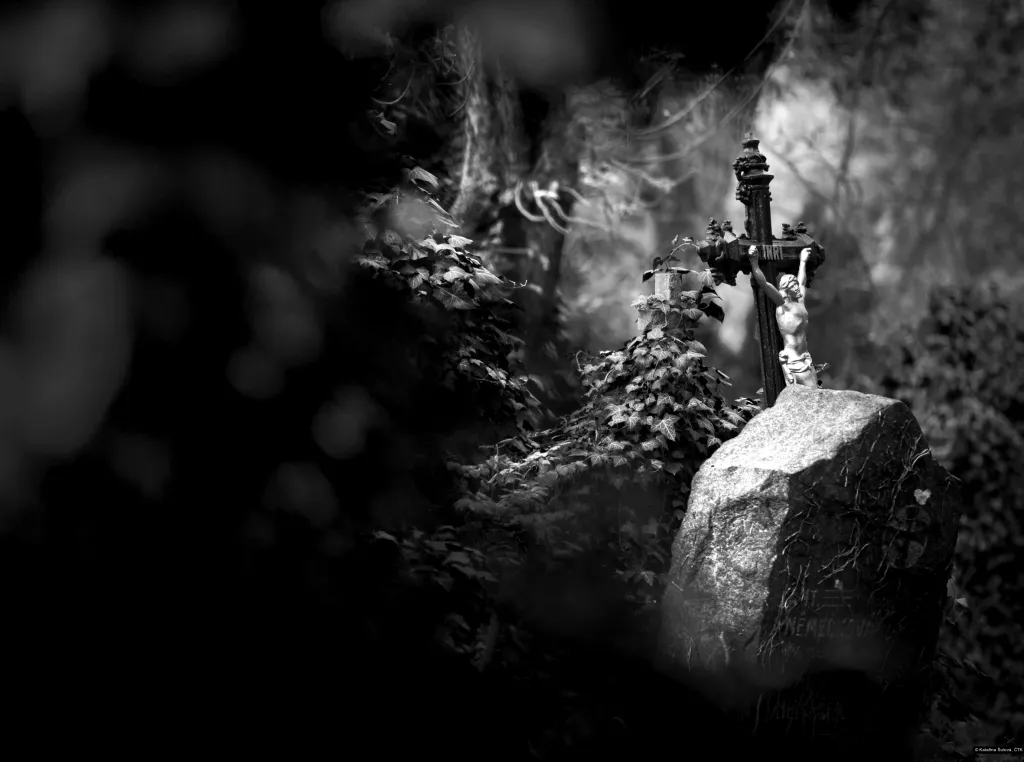 Kategorie Proměny Prahy – Grant primátora Prahy (Kateřina Šulová, ČTK / Olšanské hřbitovy v detailu)