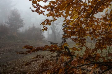 Víkend má být chladný, zatažený a s trochou srážek