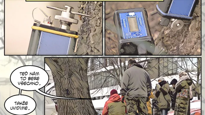 Vědci takzvanou tahovou zkouškou kontrolovali staletý dub v Plzni