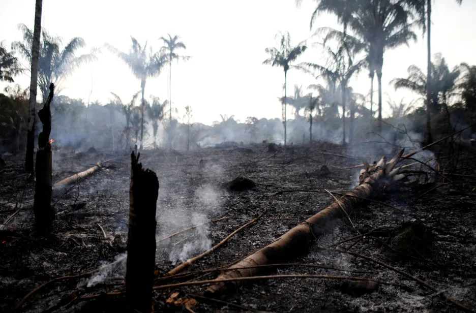 Obrázek vypáleného pralesa po úmyslném založení požáru farmáři z Iranduby