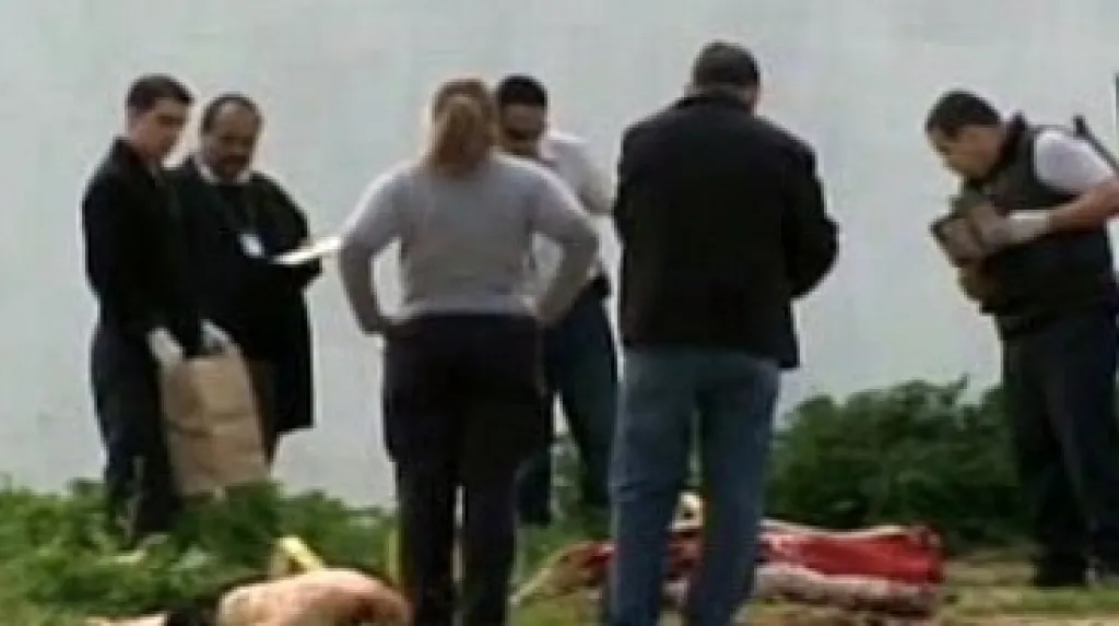 Oběti drogových kartelů