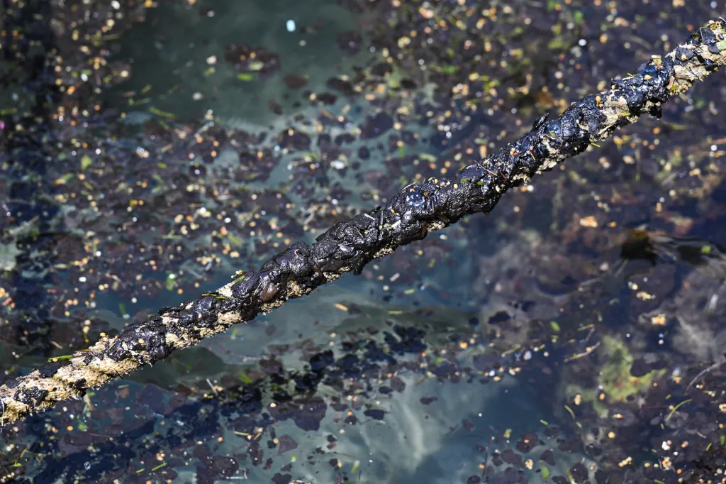 Lano používané k uvázání lodi je potřísněné ropou