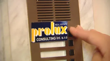 Prolux Consulting
