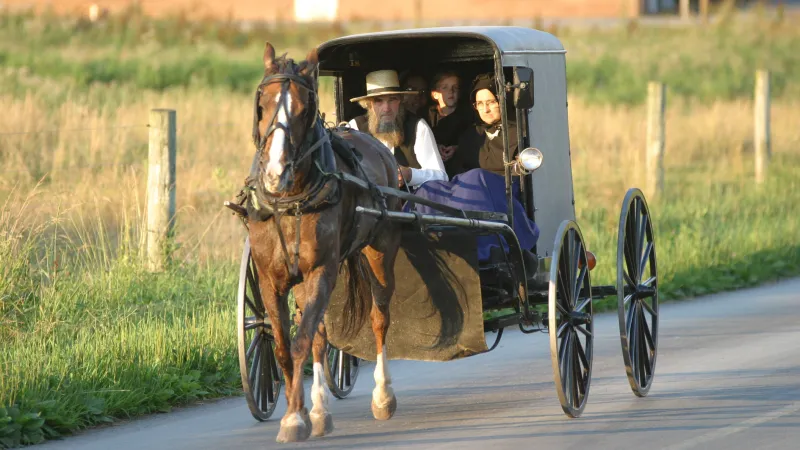 Amišové - ilustrační foto