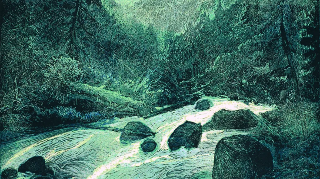 Šumava umírající a romantická