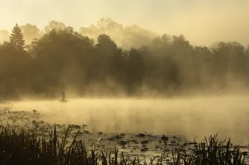 Lonjsko polje, mokřad plný čápů a starých roubenek