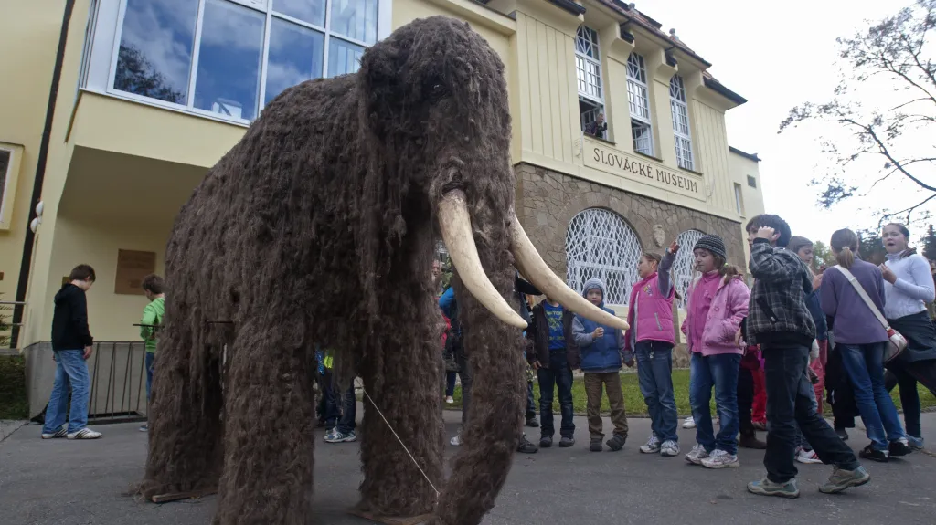 Mamut zamířil do Slováckého muzea