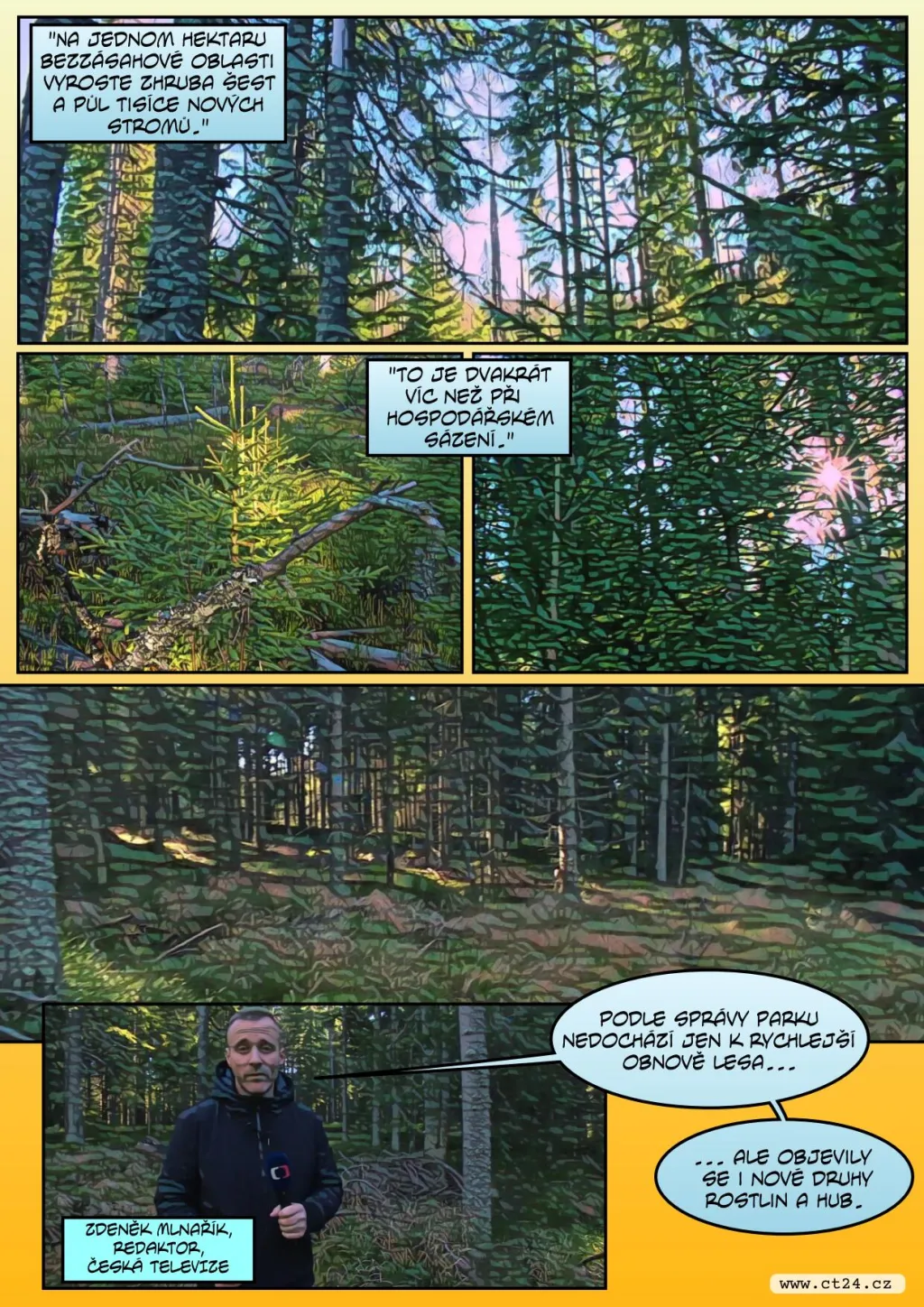 Šumavské lesy se rychle regenerují