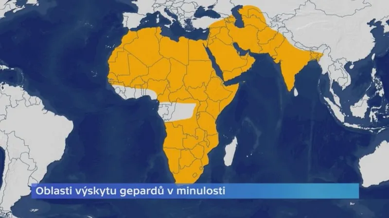 Oblast výskytu gepardů v minulosti