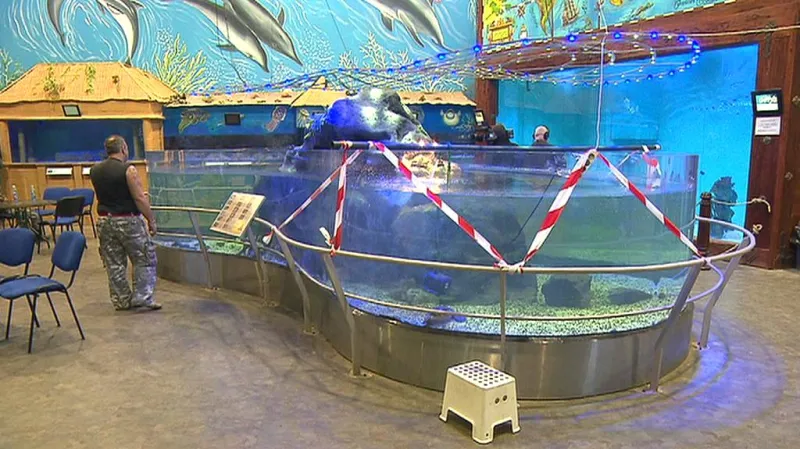 Akvárium v Mořském světě