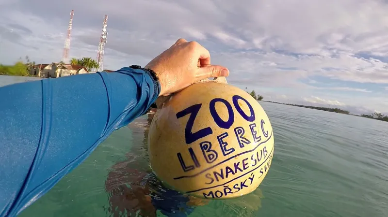 Fotografie z libereckého programu na záchranu korálů