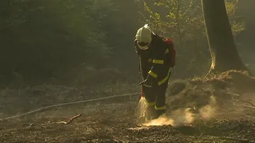 Hasiči prolévají lesní půdu zasaženou požárem