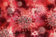 Laboratoř potvrdila tři případy jihoafrické varianty koronaviru v brněnské školce