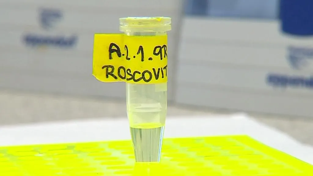 Roskovitin