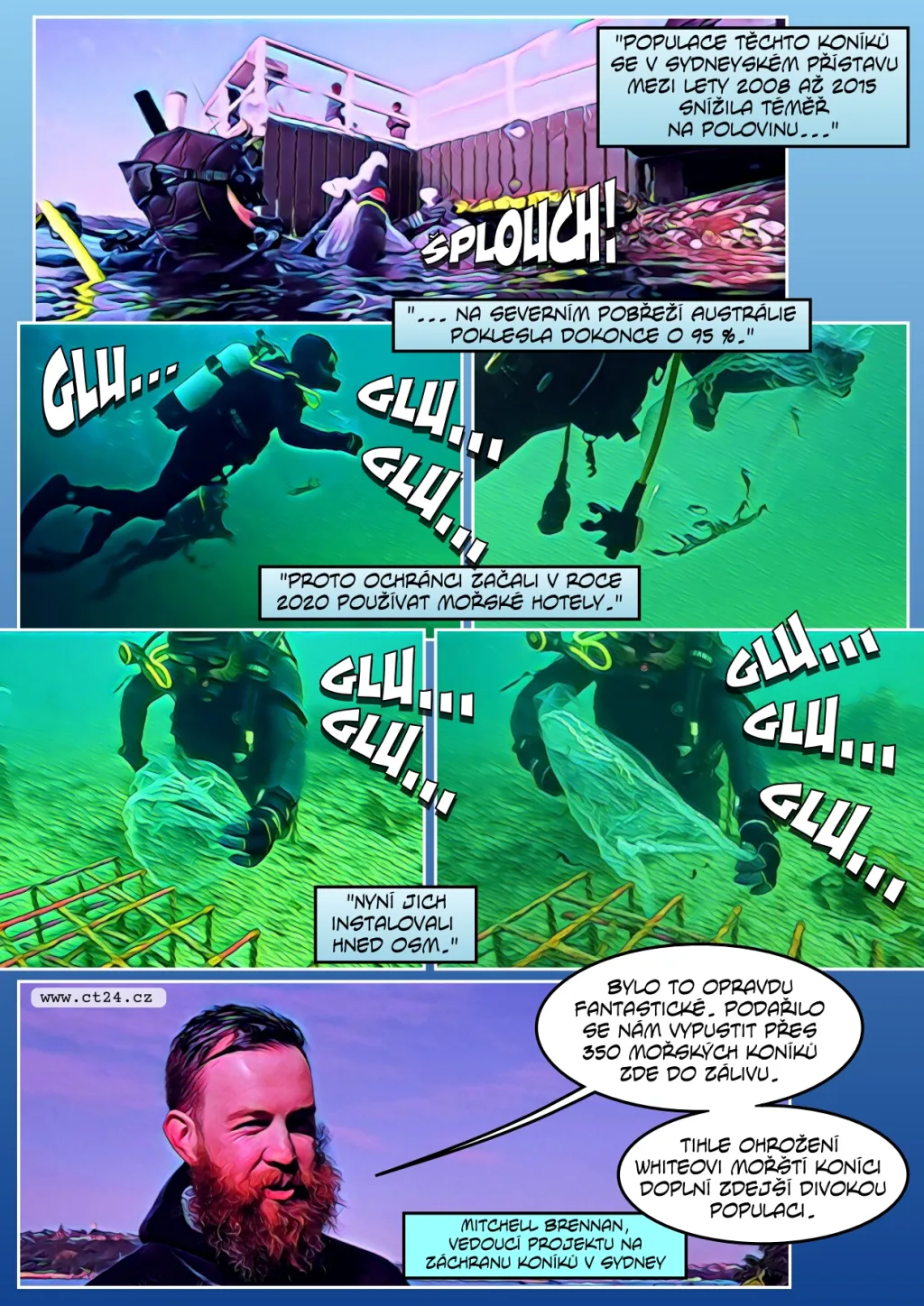 Vědci staví pro mořské koníky na pobřeží „hotely“. Jejich přirozených útočišť ubývá