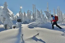 Metr sněhu za den. Sněhové rekordy v Česku i ve světě ukazují sílu živlu