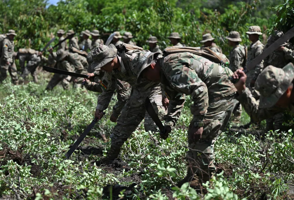 Bolivijští vojáci ničí rostliny koky