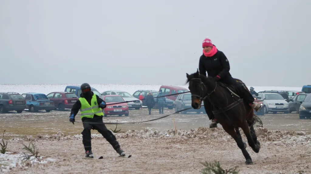 Horseskijöring v Krkonoších
