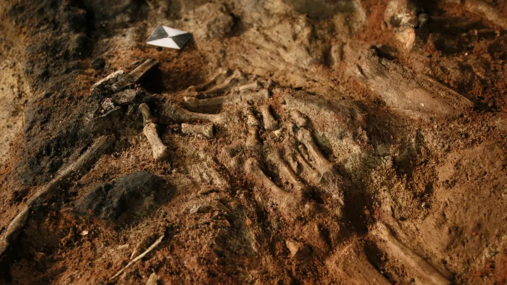 Kosterní pozůstatky v Břeclavi