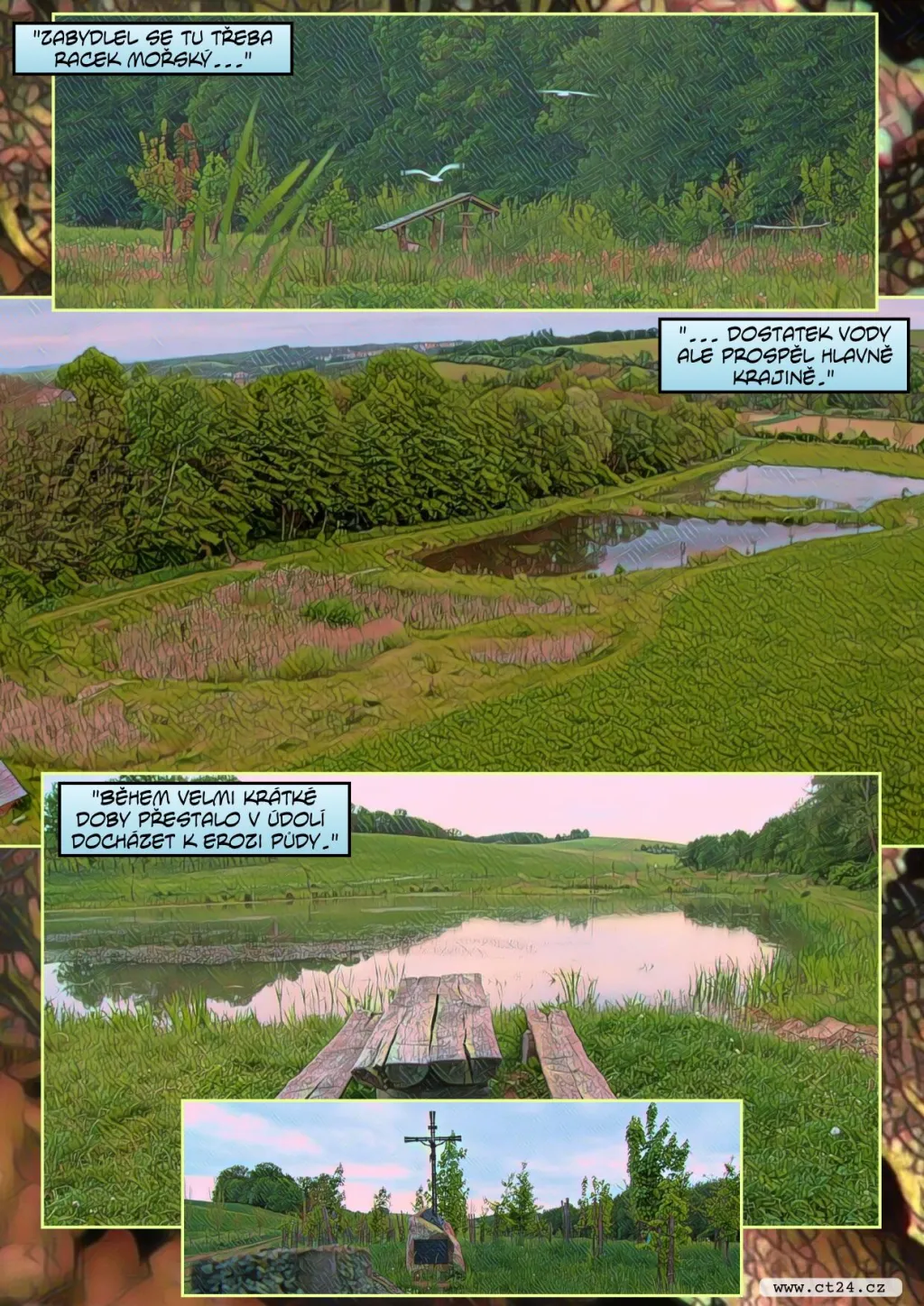 Do České krajiny se vracejí mokřady