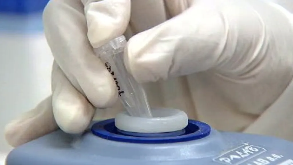 Testy DNA