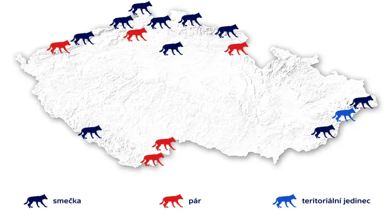 Výskyt vlka obecného v sezoně 2017/2018