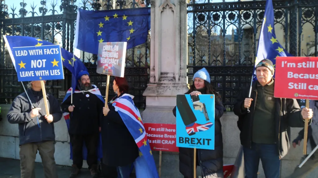 Odpůrci brexitu protestují před čtvrtečním hlasováním před Westminsterským palácem