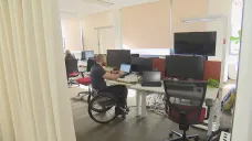 Zaměstnání handikapovaných