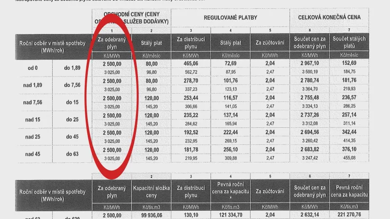 Kolik zaplatím za energie vzor 2