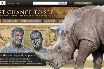 Čeští nosorožci jako zářivé mediální hvězdy