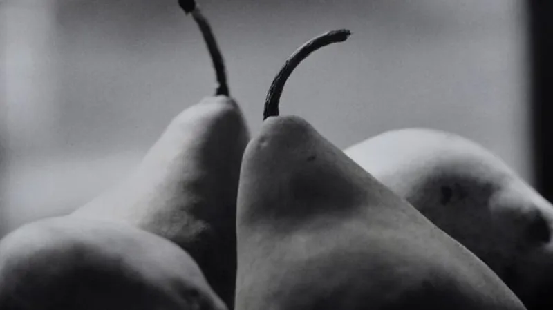 Peter Župník / Hrušky - 2008/2013