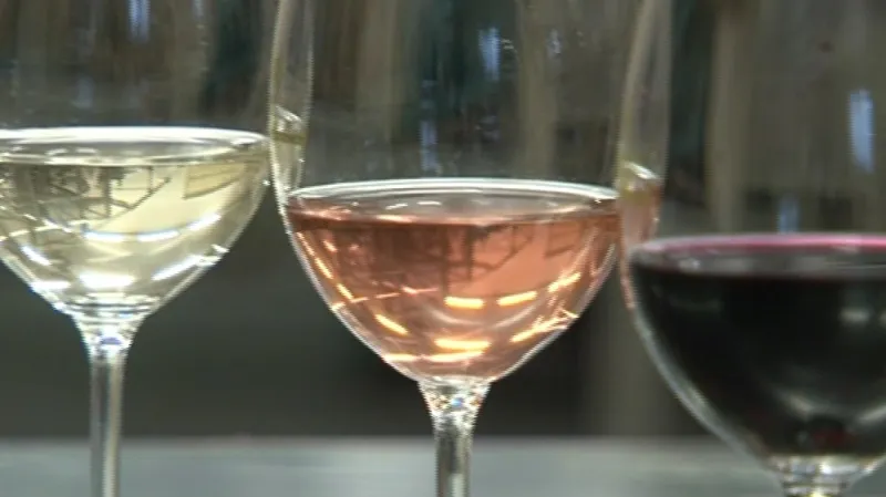 Svatomartinské 2012