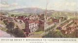 Vedle strojírenství podnikal František Ringhoffer II. i v pivovarnickém průmyslu. V roce 1871 po objevení pramenů vody ve Velkých Popovicích se rozhodl pro stavbu pivovaru.