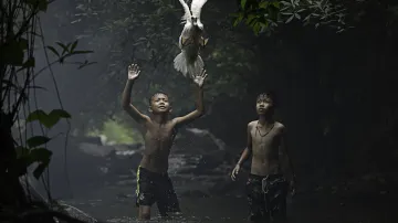Čestné uznání. Dva chlapci se snaží chytit kachnu v proudu vodopádu poblíž provincie Nong Khai v Thajsku.