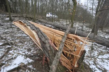 Meteorologové varují před silným větrem na východě země