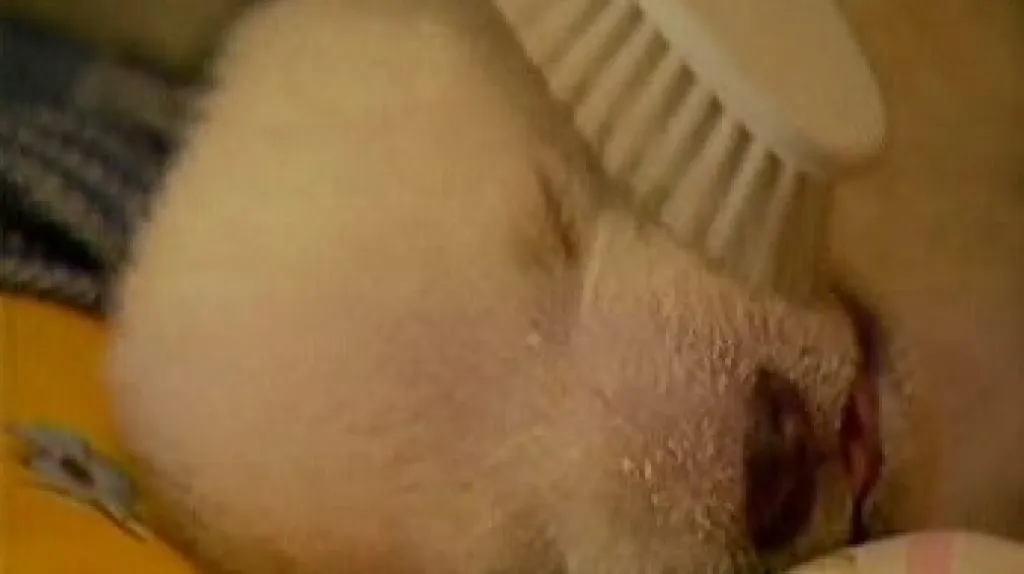 Berlínský medvídek Knut