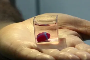 Na univerzitě v Tel Avivu poprvé vyrobili srdce i s cévním systémem. Na 3D tiskárně