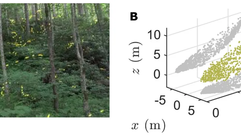 3D model rozsvěcování v roji světlušek