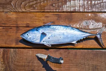 Omega mastné kyseliny výrazně pomáhají proti covidu, potvrdil český výzkum