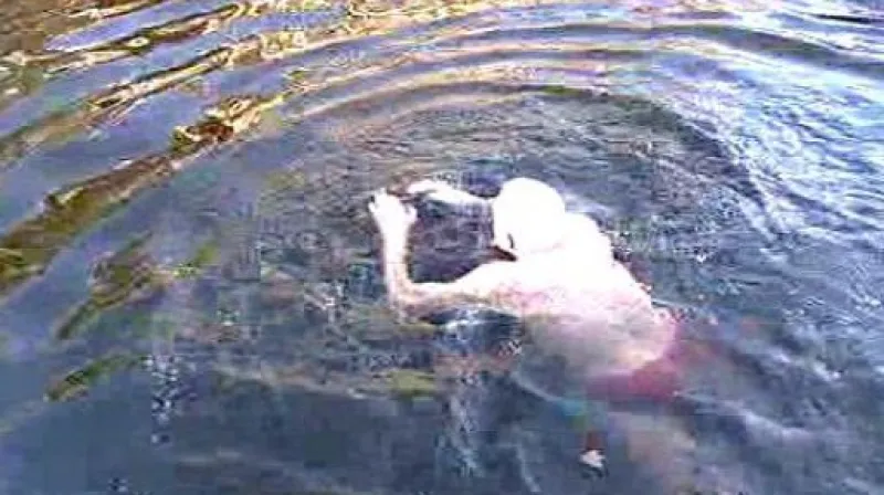 Otužilci ve Vltavě