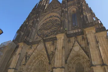 O čem plánujeme informovat v sobotu 15. listopadu