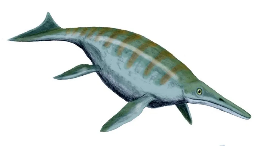 Vizualizace ichtyosaura