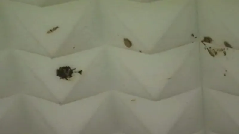 Skvrny od výkalů na stropě guantánamských chodeb