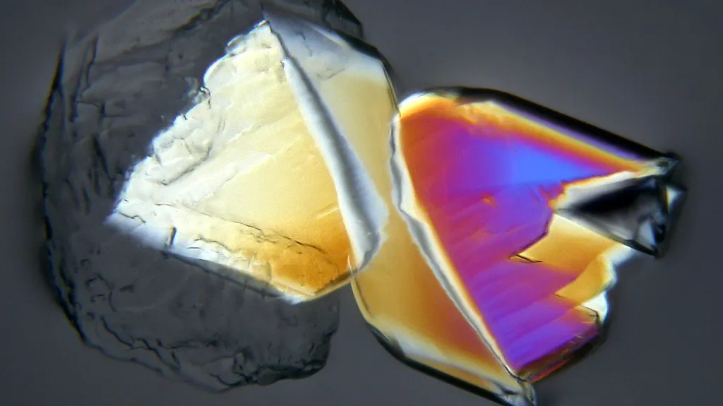 Krystal mořské soli pod mikroskopem