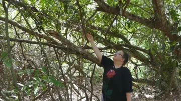 Výprava za divokou vanilkou