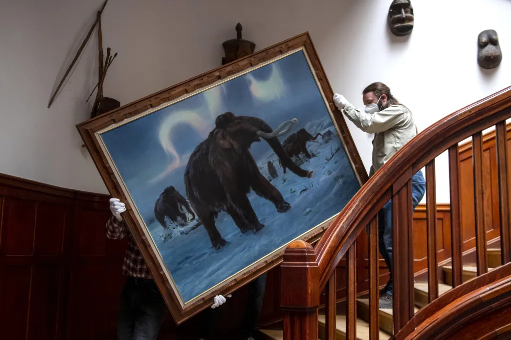 Mluvčí Safari parku Zuzana Boučková uvedla, že do Znojma půjčují patnáct originálních děl. Největší z nich je velké 120 x 155 centimetrů a nejmenší 30 x 30 centimetrů. Obrazy autor namaloval v letech 1935 až 1981, poslední pouhé dva měsíce před smrtí