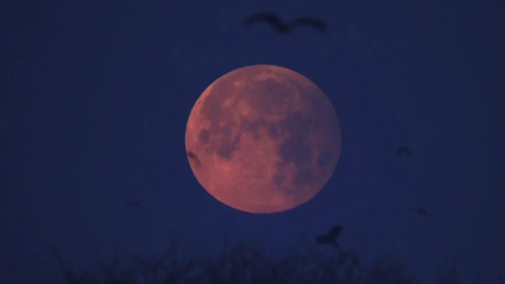 Polostínové  zatmění Měsíce v Pákistánu