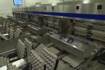 V Pohořelicích po problémech se salmonelou spustili novou třídicí linku vajec s UV zářením